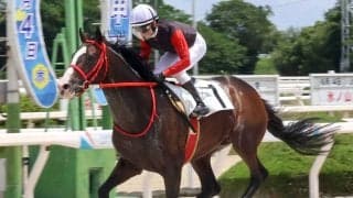 【園田競馬】吉村智洋騎手が２Ｒで地方通算３９００勝を達成「今年中には４０００勝を」