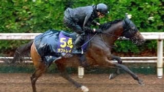 【安田記念】オフトレイルが豪雨に負けず軽快な動き　吉村調教師「思い切った競馬をしてもらうつもりです」