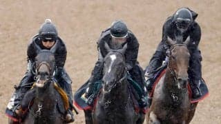 【宝塚記念・１週前】レガレイラは３頭併せでゴール板を過ぎても緩めないハードトレ　陣営「中身のある調教ができた」