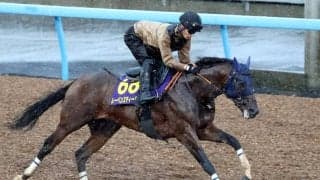 【注目馬動向】レーベンスティール、シックスペンス、シュトラウスがジャックルマロワ賞に登録を予定　９８年にタイキシャトルが制覇