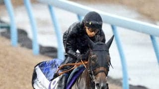 【Ｇ１トク捜リレー】美浦・西山の狙いは紅一点の桜花賞馬　陣営の地道な努力が実を結ぶ
