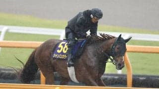 【安田記念】シャンパンカラーは大雨の中を力強く登坂　田中剛調教師「雨が味方になってくれれば」