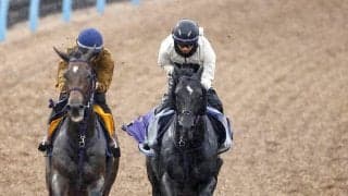 【安田記念】重賞連勝中トロヴァトーレは万全　鹿戸調教師「ようやく実が入っていい状態でＧＩに挑戦できる」