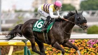 【安田記念予想】AIと人間の意見に温度差あり!? 人工知能が注目した伏兵とは