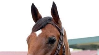 【注目馬動向】ヴィクトリアマイルを制したエンブロイダリーが仏Ｇ１・ジャックルマロワ賞登録　シルク・ホースクラブ発表