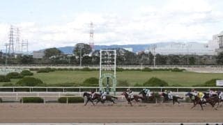 【園田・六甲盃結果】ダンテバローズが3連勝で重賞初制覇
