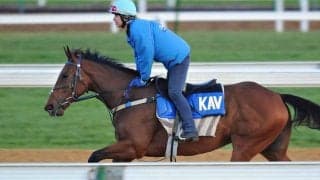 【安田記念／追い切り診断】目を引く馬体の張りに最高評価「S」　心身が高いレベルで共存し「今が最も充実した時期」
