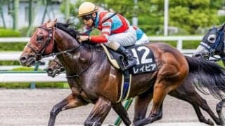 【函館SS想定馬・騎手】レイピア、ピューロマジックなど13頭