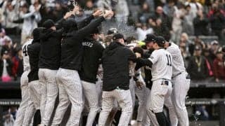 MLBで見つかった“超大物”「すげぇぇぇ」　日米興奮…豪華共演に思わず「ハリウッド上映会」