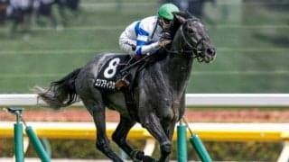 【JRA・WIN5】本日のWIN5は的中115票、配当315万9870円