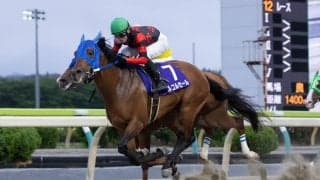 【水沢・早池峰賞】8歳ルコルセール健在、スプラウティングを競り落として勝利
