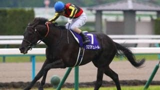 【宝塚記念登録馬】クロワデュノール、メイショウタバルなど18頭
