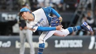 日本球団が熱心になる台湾市場　来季セDH制採用でどうなる外国人補強／寺尾で候