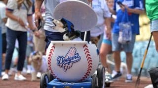 ドジャースが「ドッグデー」で愛犬と観戦「うれしいでしょうね、ワンちゃんも」伊東勤氏も笑顔