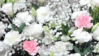 【大相撲】元関脇・長谷川の長谷川勝敏さん死去　８１歳　膵臓がん　優勝１度の「最強関脇」