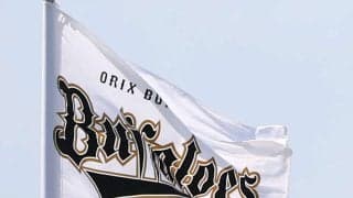【オリックス】「じゃがいもデー」７・26ロッテ戦、８・６楽天戦で開催　じゃが割チケット販売