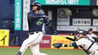 【ヤクルト】サンタナの12号２ラン“幻”に「フェンストップに当たった」リクエストで二塁打に