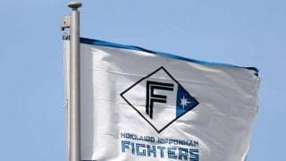 【日本ハム】外国人選手及びその家族の生活サポート業務担う「ファミリーコーディネーター」募集