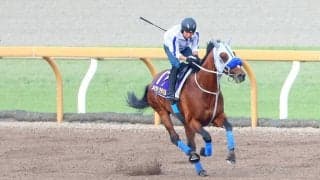 【宝塚記念】連覇を狙うメイショウタバル、持ったままラスト１０秒９　先週最年長Ｇ１制覇を達成した武豊騎手も“出待ち”でねぎらい