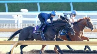 【宝塚記念・松ケ下が見た】１週前は「緩んじゃったかな」も…クロワデュノールが史上初の古馬Ｇ１春３冠へ「着実に良くなっています」