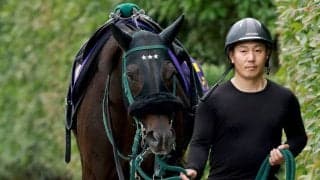 【注目馬動向】セイウンハーデスは放牧を挟んで毎日王冠へ　その後は天皇賞・秋を視野に