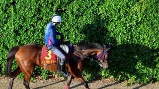 ９８年タイキシャトル以来、日本馬２８年ぶりのＶへ　ジャックルマロワ賞に日本馬４頭が登録　エンブロイダリー、シックスペンスなど