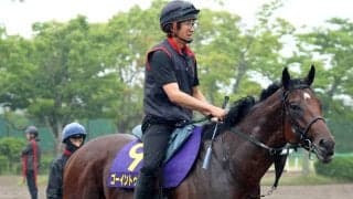【注目馬動向】日本ダービー４着の青葉賞馬ゴーイントゥスカイは引き続き武豊騎手とのコンビで新潟記念へ