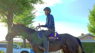 【宝塚記念】春古馬３冠を目指すクロワデュノールは３枠５番　連覇がかかる武豊騎手メイショウタバルは８枠１６番に決定