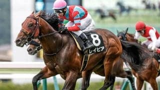 【函館スプリントS出走馬・騎手確定】レイピア＆横山武史騎手、インビンシブルパパ＆佐々木大輔騎手など13頭
