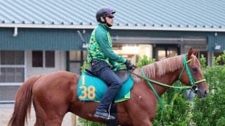 【ＰＯＧ】米国最強馬フライトライン産駒デミアンが鞍上ダミアンで１３日デビューへ　「しっかり教育されている」