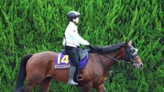【宝塚記念・枠順確定】ミクニインスパイアの２枠４番に林調教師「競馬はしやすい」　１８年のミッキーロケットがＶ