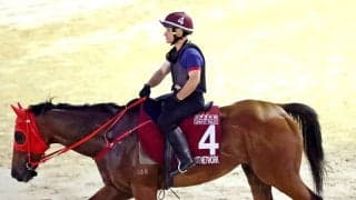 スプリント王国・香港の実力馬　ファストネットワークがセントウルＳとスプリンターズＳに登録