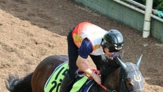 【ＰＯＧ】姉はダートＯＰ馬のデリカダ　バミューダブーケも砂上で初陣　杉山佳調教師「整ったかなと思います」