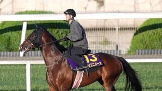 【宝塚記念】１５番枠に決まった日経賞勝ち馬マイユニバースは心身両面で充実　武幸調教師「何の不安もないです」