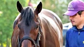 【宝塚記念】吉兆だ　ミュージアムマイルは２番枠　有馬記念から直行で連勝した７７年トウショウボーイと同馬番