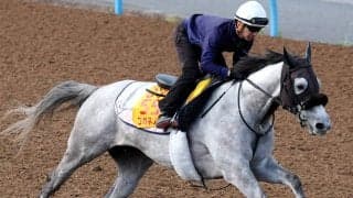 【府中牝馬Ｓ・１週前】菊沢一樹騎手を背に「前走に比べてリラックス」　コガネノソラが重賞連勝へ好ムード