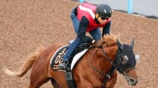 【しらさぎＳ・１週前】エコロアルバは本領発揮へ好ムード　陣営「１週前としては動きが良かった」