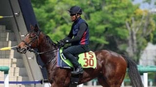 【ＰＯＧ】１３日東京デビューのシャンデヴァーグはラスト１０秒９の切れ味魅力　森一調教師「すごくいい動き」
