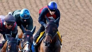 【府中牝馬Ｓ・１週前】ヴィクトリアマイル６着から反撃狙うニシノティアモ　上原佑調教師「体もできています」