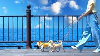 毎日のウォーキングで体に起こる10の変化｜毎日歩くと体はどう変わる？