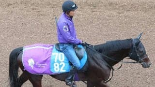 今をときめくキタサンブラック産駒の「長男」ジャスティンスカイが現役引退　今後は乗馬に