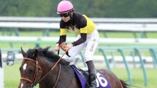【注目馬動向】安田記念５着パンジャタワーはキーンランドＣからスプリンターズＳへ　橋口調教師「ベストはスプリント」