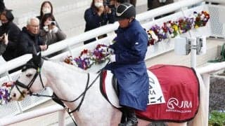 福士蒼汰×宝塚歌劇団×シロニイ...豪華メンバー宝塚記念は“ゲスト陣”も華やか！　ＪＲＡ公式Ｘが誘導馬を発表