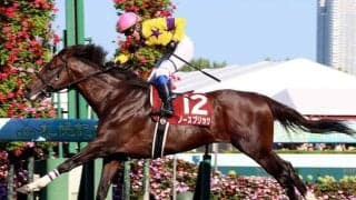 重賞３勝を挙げたノースブリッジが競走馬登録を抹消　東京競馬場で乗馬となる予定
