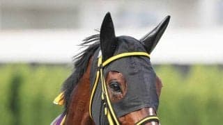 【１３日の注目・阪神４Ｒ】メイショウハリオ、テーオーロイヤルが兄のメイショウタカネ　芝１８００メートルで初陣