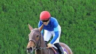 【１３日の注目・阪神８Ｒ】桜花賞４着馬×Ｇ２・４着馬×エルフィンＳ２着馬...好素材の３歳牝馬がそろって出走