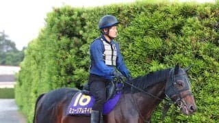 【宝塚記念・土曜気配】最後にスパイス利かせた！　ミュージアムマイルは坂路でラスト１２秒５　高柳大調教師「追い切って、軽くなりました」