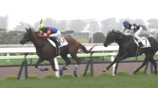 函館競馬が開幕！雨中の１Ｒはディーズメンフィスが逃げ切りＶ　舟山瑠泉騎手「馬場はまだ大丈夫」