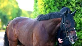【宝塚記念・土曜気配】勢いある４歳馬マイユニバースは坂路で軽めの調整　武幸調教師「休ませてよかった」