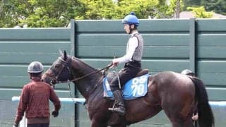 土曜函館競馬場の注目激走馬…函館１１Ｒ函館スプリントステークス・Ｇ３